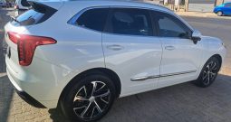 2021 Havaal h2 jollion 1.5T super Luxury